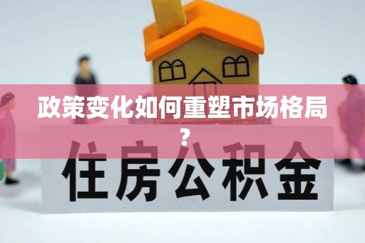 聊城政策变化如何重塑市场格局？