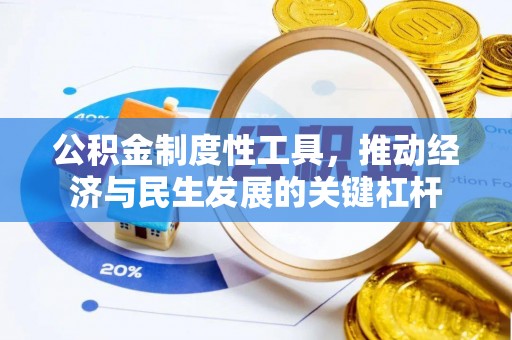 聊城公积金制度性工具，推动经济与民生发展的关键杠杆