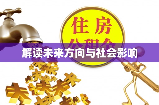 聊城解读未来方向与社会影响