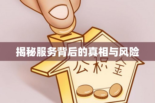 聊城揭秘服务背后的真相与风险