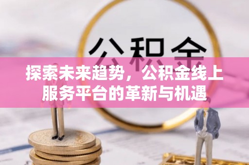 聊城探索未来趋势，公积金线上服务平台的革新与机遇
