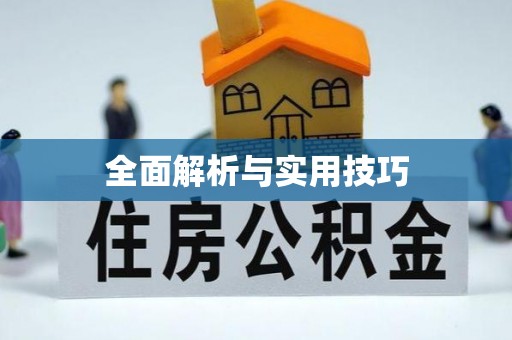 聊城全面解析与实用技巧