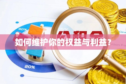 聊城如何维护你的权益与利益？