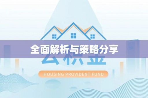 聊城全面解析与策略分享