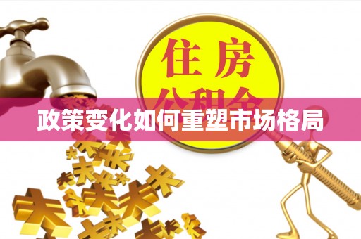 聊城政策变化如何重塑市场格局