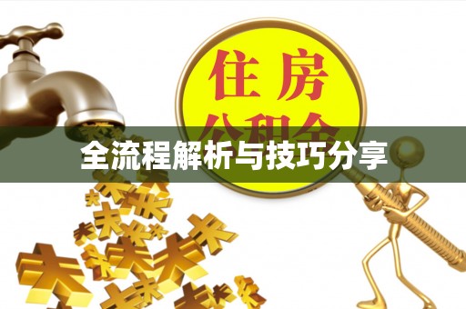 聊城全流程解析与技巧分享